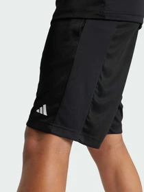 Шорты Adidas Clima модель IV9578 Фото