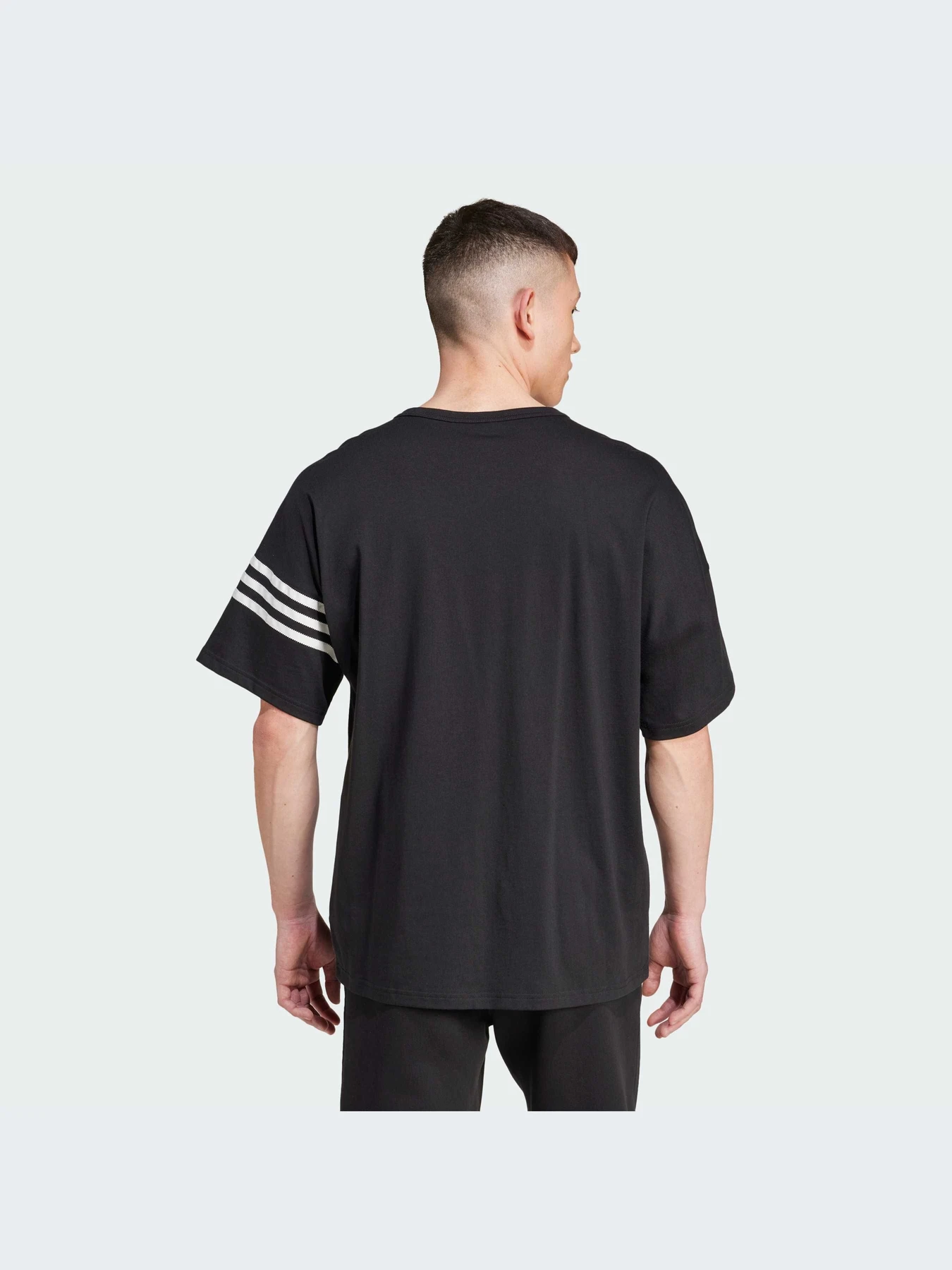 Футболки і поло Adidas Adicolor модель IW0972 Футболки і поло Adidas Adicolor модель IW0972 Фото