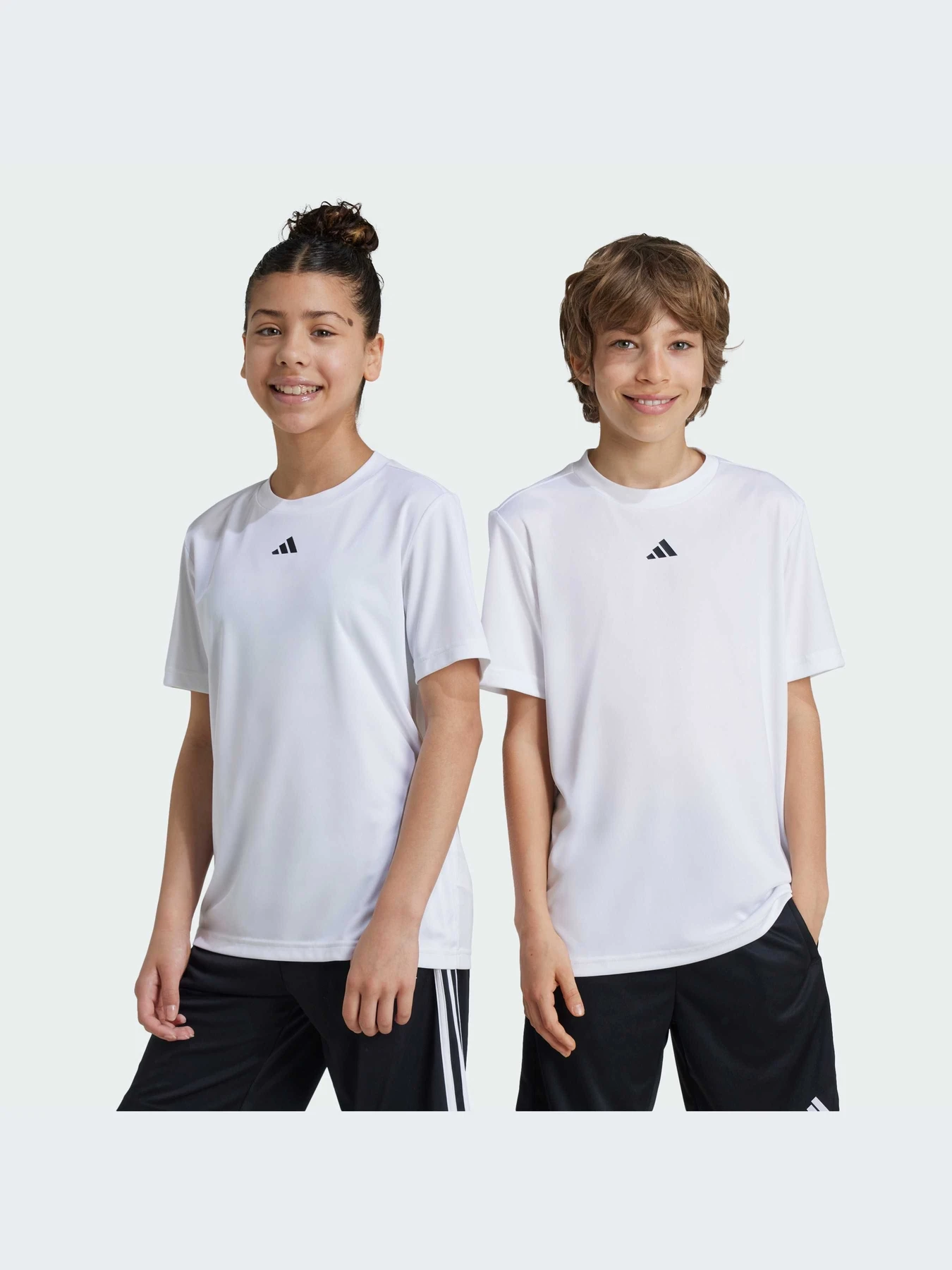 Футболки и поло Adidas Clima модель IW0853 Футболки и поло Adidas Clima модель IW0853 Фото