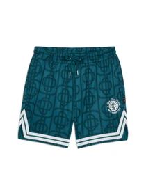Шорти PUMA x Ptc Aop Mesh Shorts модель 627440 Фото