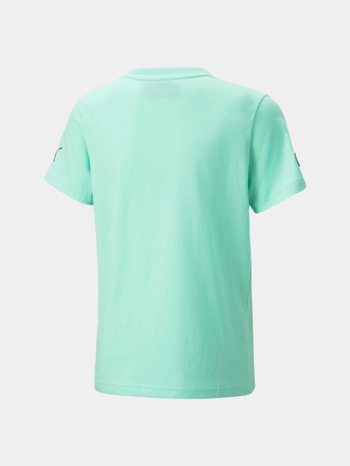 Футболки и поло PUMA Mapf1 Kids Logo Tee модель 538492 Фото