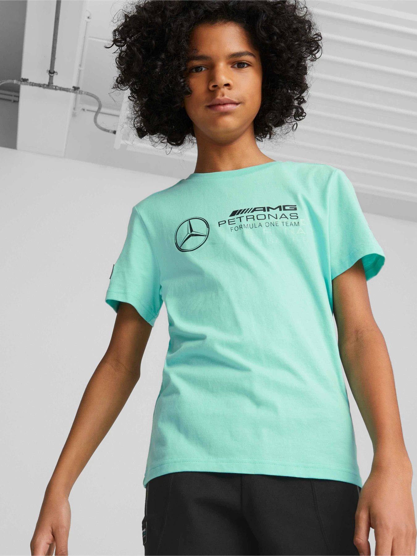 Футболки и поло PUMA Mapf1 Kids Logo Tee модель 538492 Фото
