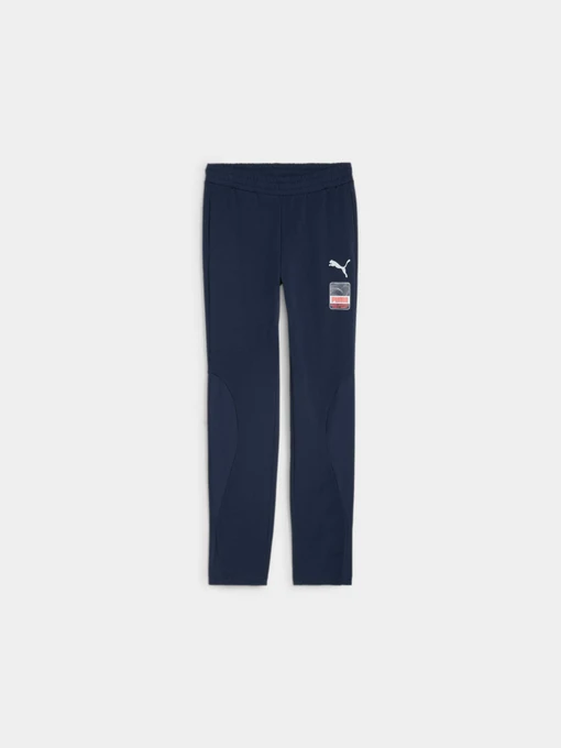 Брюки PUMA Active Sports Pants модель 679211 Фото