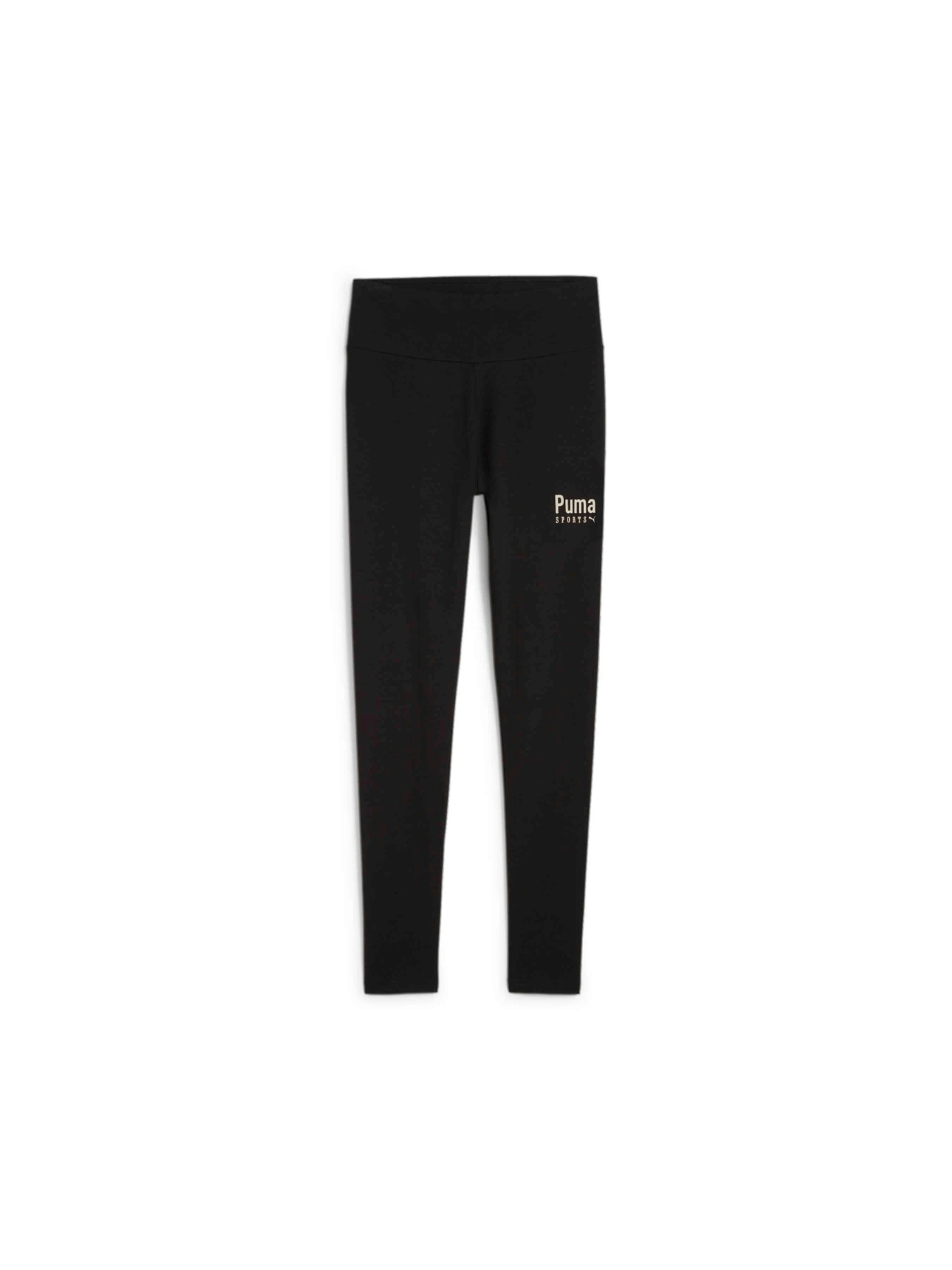 Штани PUMA Team Leggings модель 625572 Штани PUMA Team Leggings модель 625572 Фото