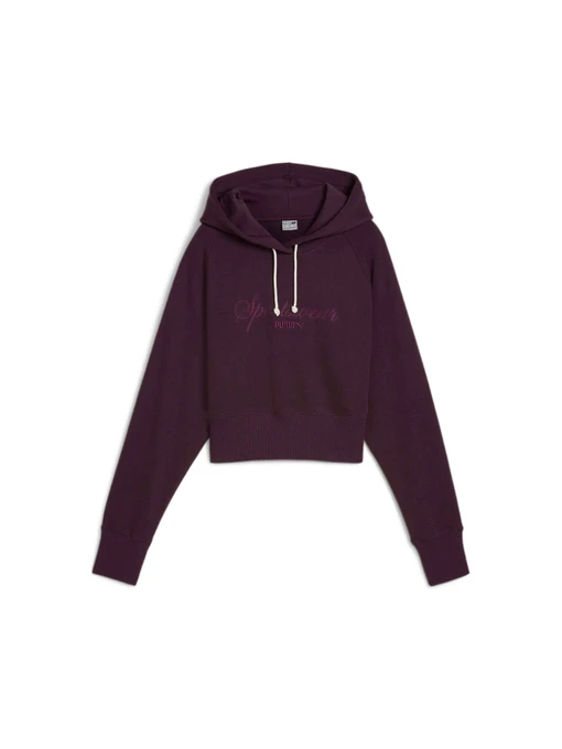 Худи и свитшоты PUMA Classics+ Relaxed Hoodie модель 626559 Фото