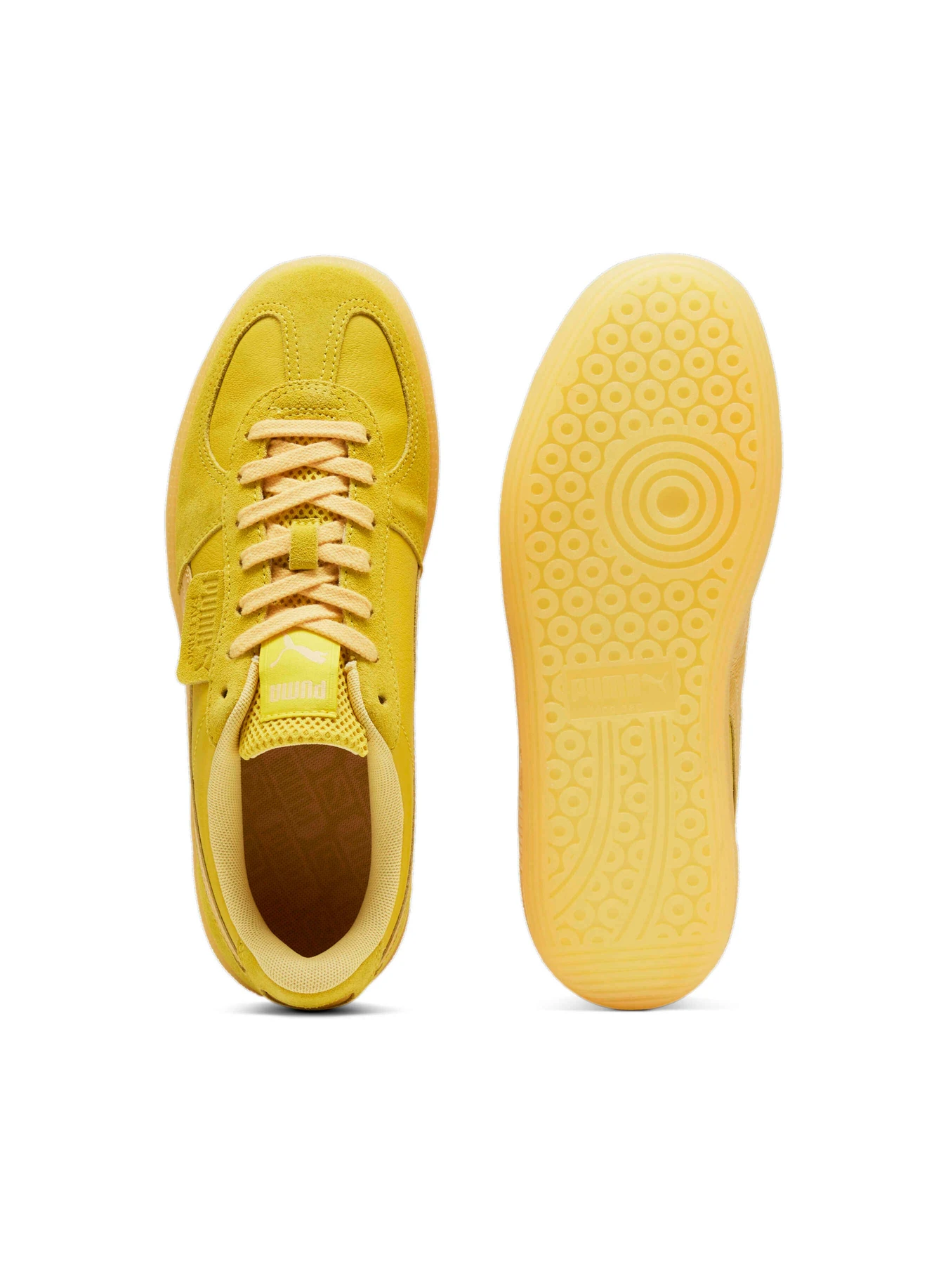 Кеди PUMA Palermo Citrus модель 398381 Кеди PUMA Palermo Citrus модель 398381 Фото
