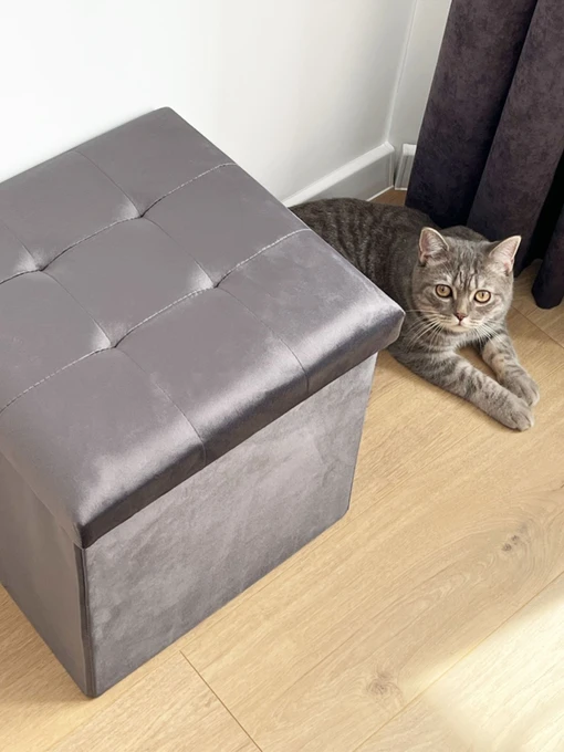 Пуф для зберігання велюровий сірий MBM HOME модель TH-05 GRAY Фото