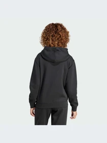 Худи и свитшоты Adidas модель IW0220 Фото