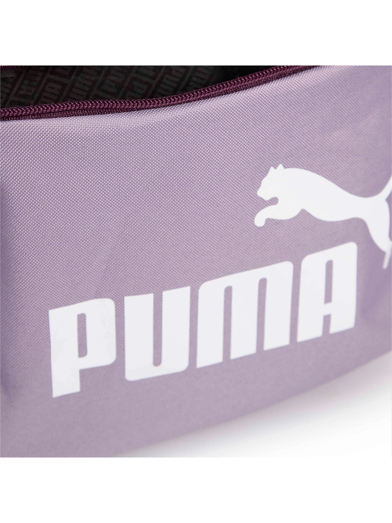 Рюкзаки PUMA Phase Hooded Backpack модель 090801 Фото