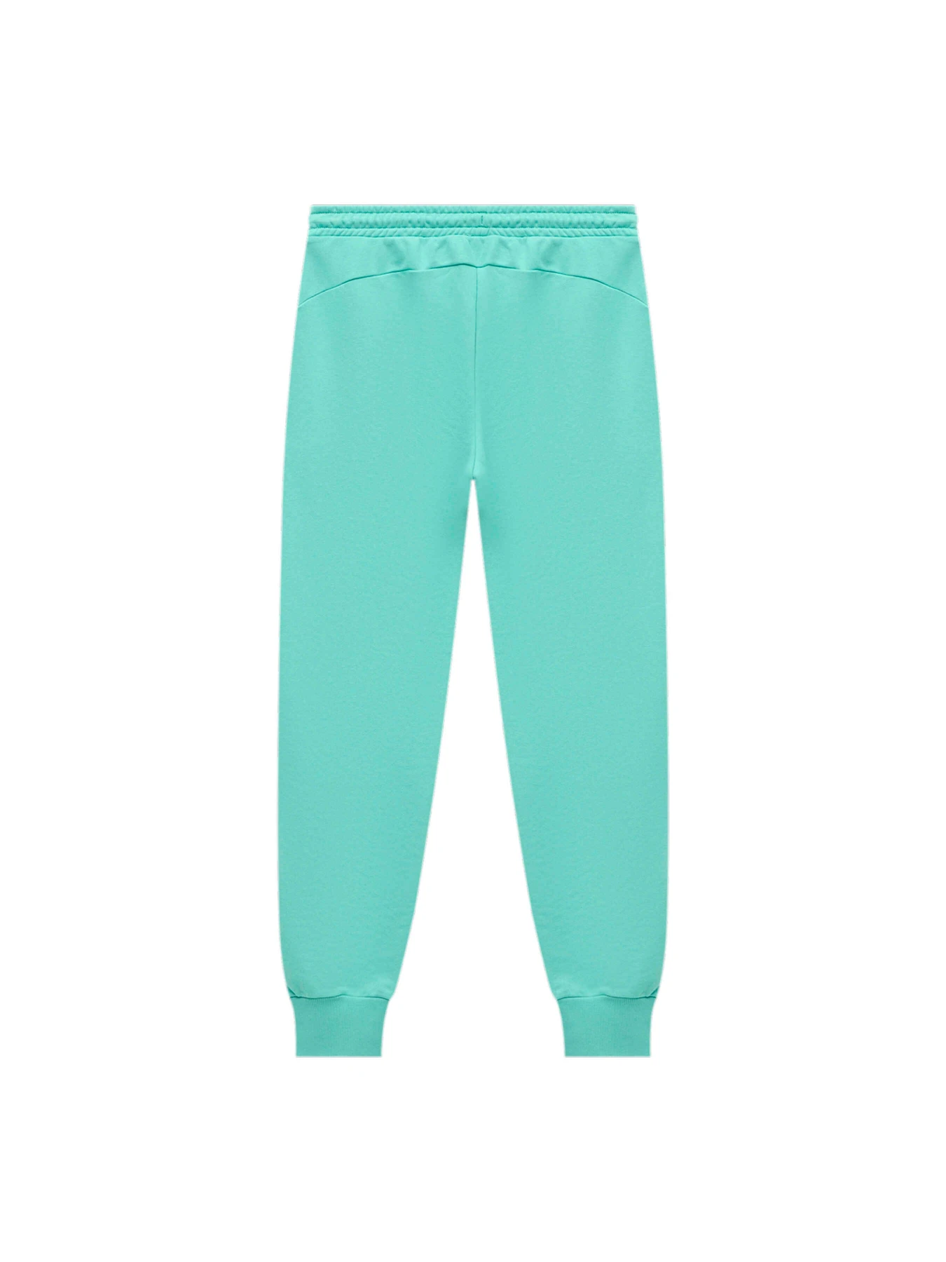 Штани PUMA Elevated Sweat Pants Tr M модель 677221 Фото