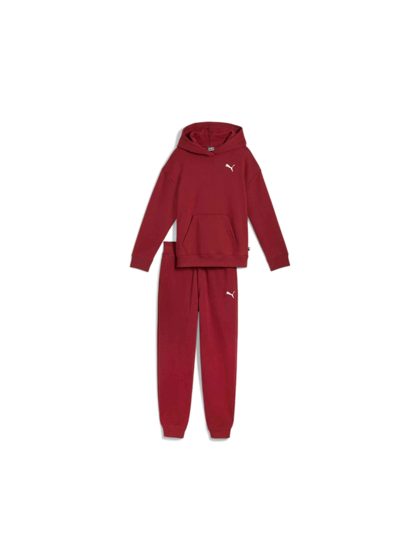 Костюмы PUMA Loungewear Suit Fl модель 683320 Костюмы PUMA Loungewear Suit Fl модель 683320 Фото