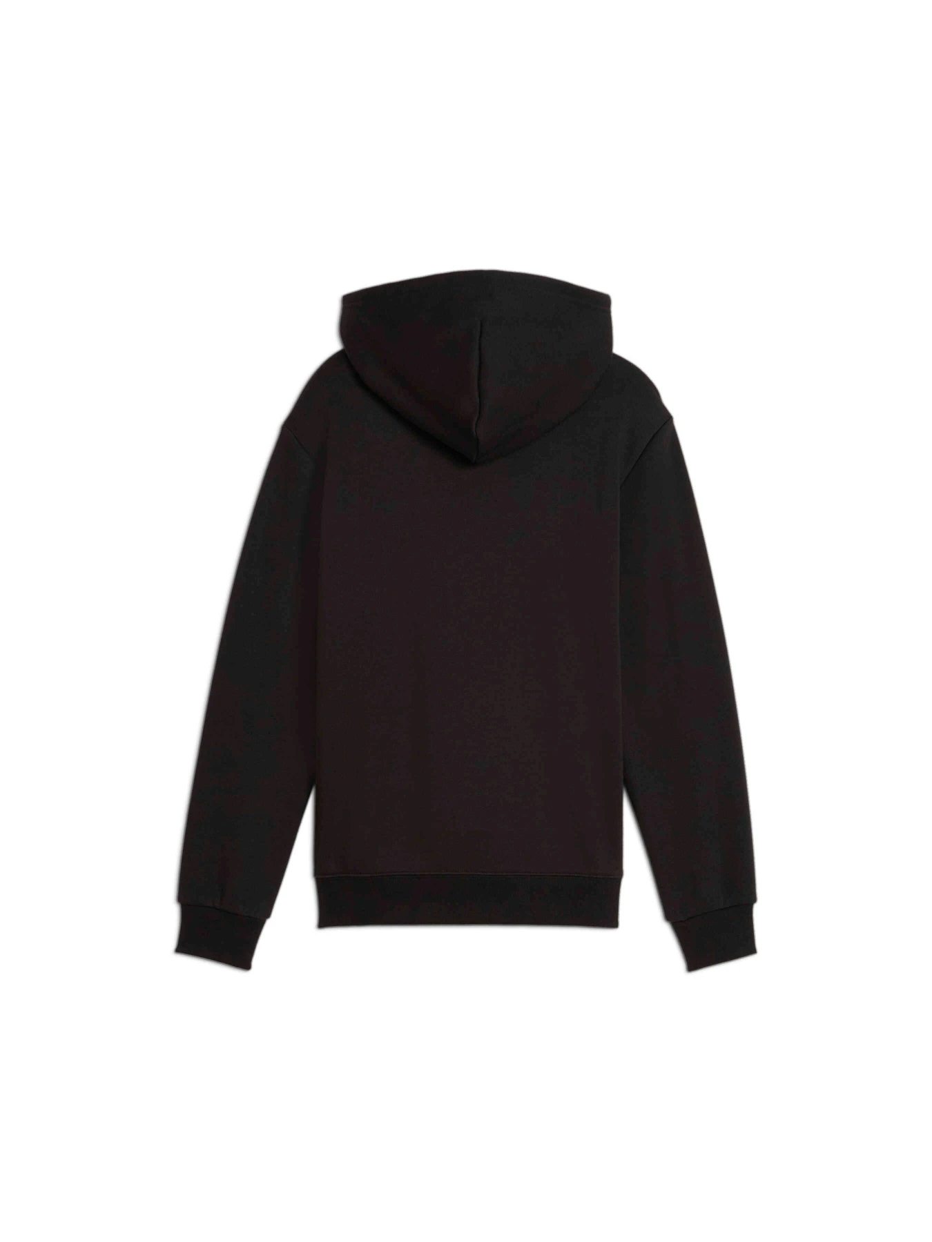 Худи и свитшоты PUMA Martian Sunset Hoodie Fl модель 626462 Худи и свитшоты PUMA Martian Sunset Hoodie Fl модель 626462 Фото
