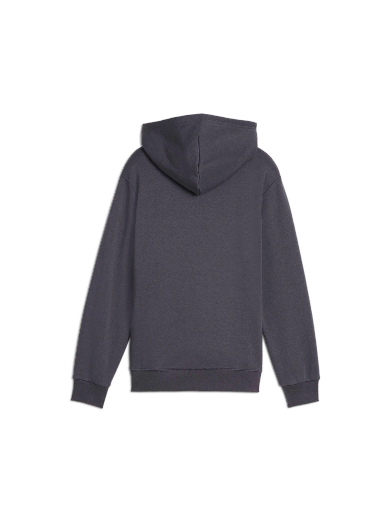 Худи и свитшоты PUMA Martian Sunset Hoodie Fl модель 626462 Фото