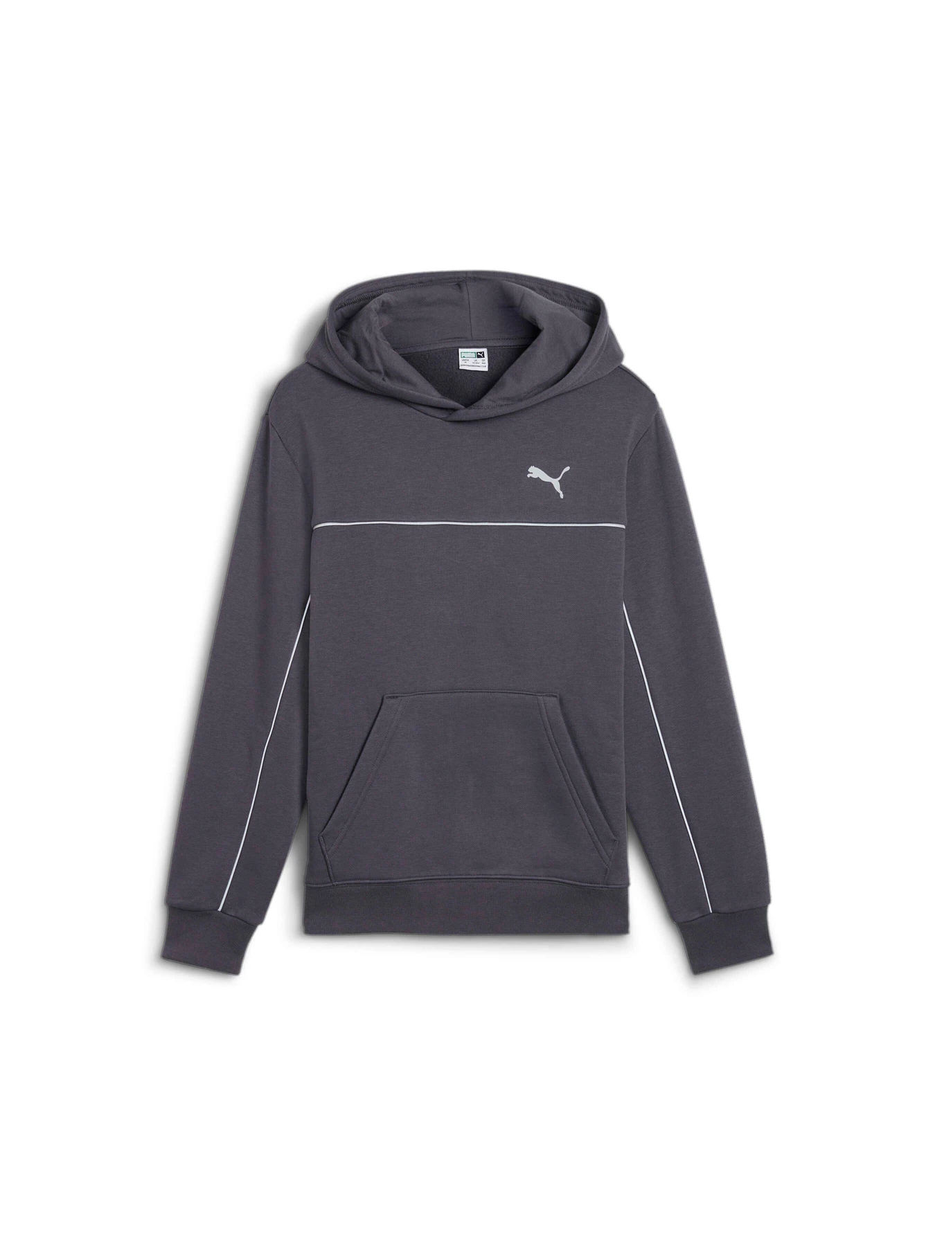 Худи и свитшоты PUMA Martian Sunset Hoodie Fl модель 626462 Фото