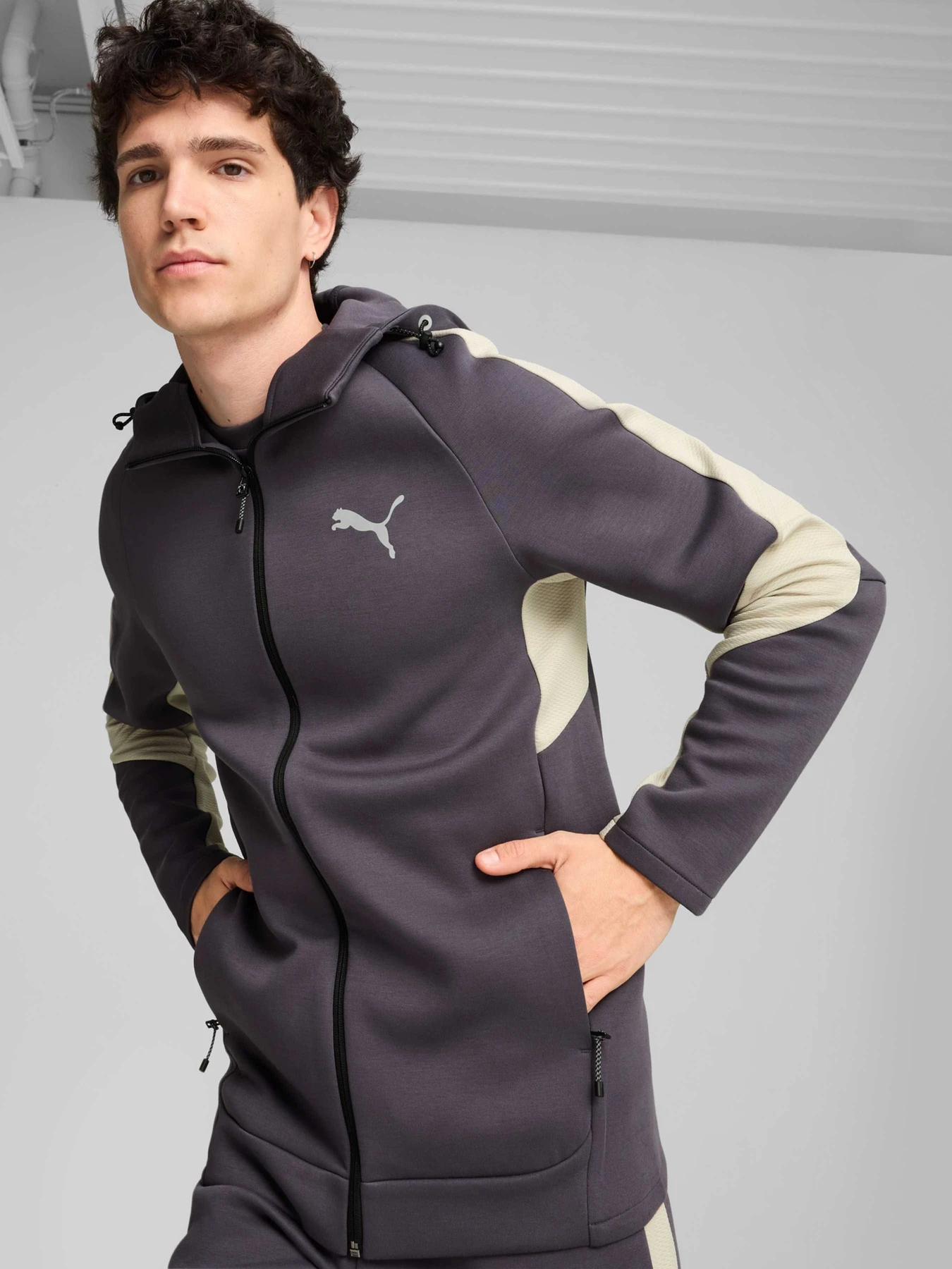 Худи и свитшоты PUMA Evostripe Full-zip Hoodie модель 681700 Фото