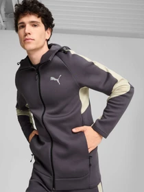 Худи и свитшоты PUMA Evostripe Full-zip Hoodie модель 681700 Фото