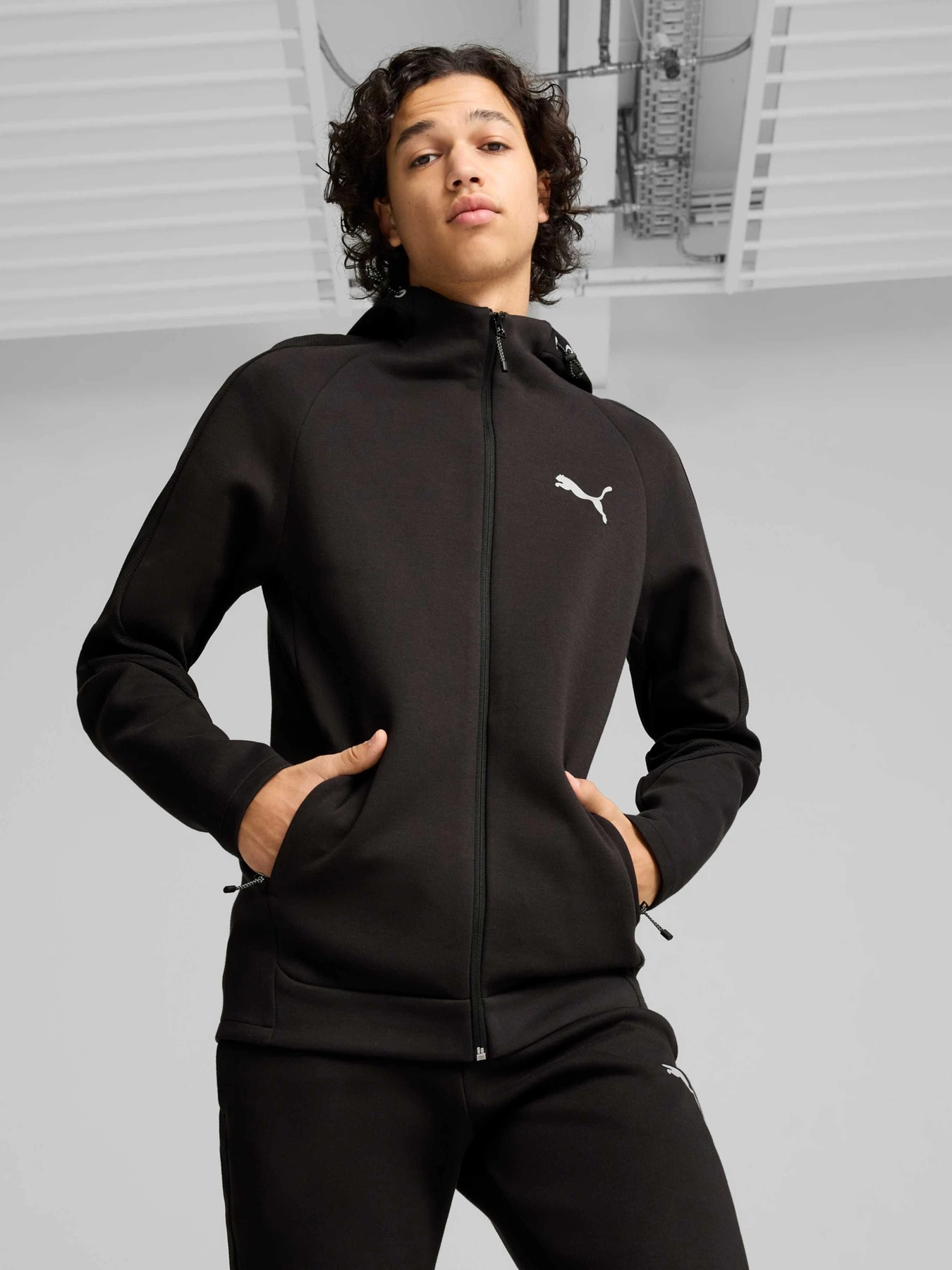 Худі та світшоти PUMA Evostripe Full-zip Hoodie модель 681700 Худі та світшоти PUMA Evostripe Full-zip Hoodie модель 681700 Фото