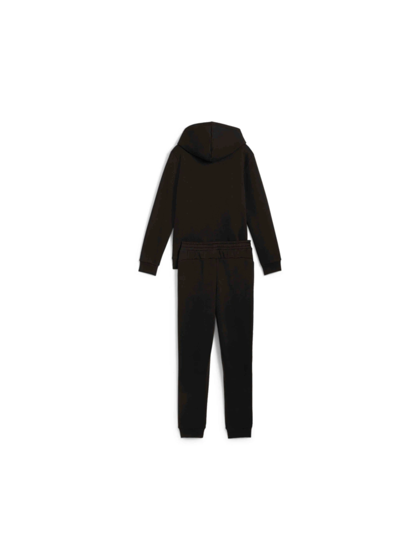 Костюмы PUMA Squad Fz Sweat Suit Fl модель 683318 Фото
