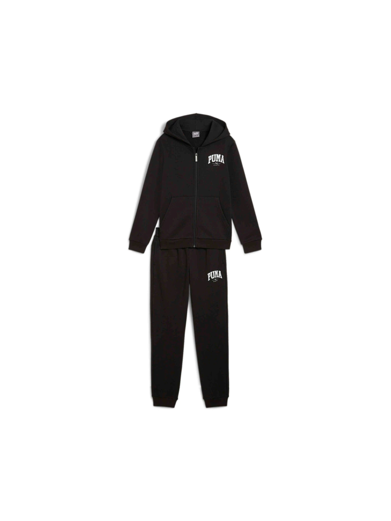Костюмы PUMA Squad Fz Sweat Suit Fl модель 683318 Фото