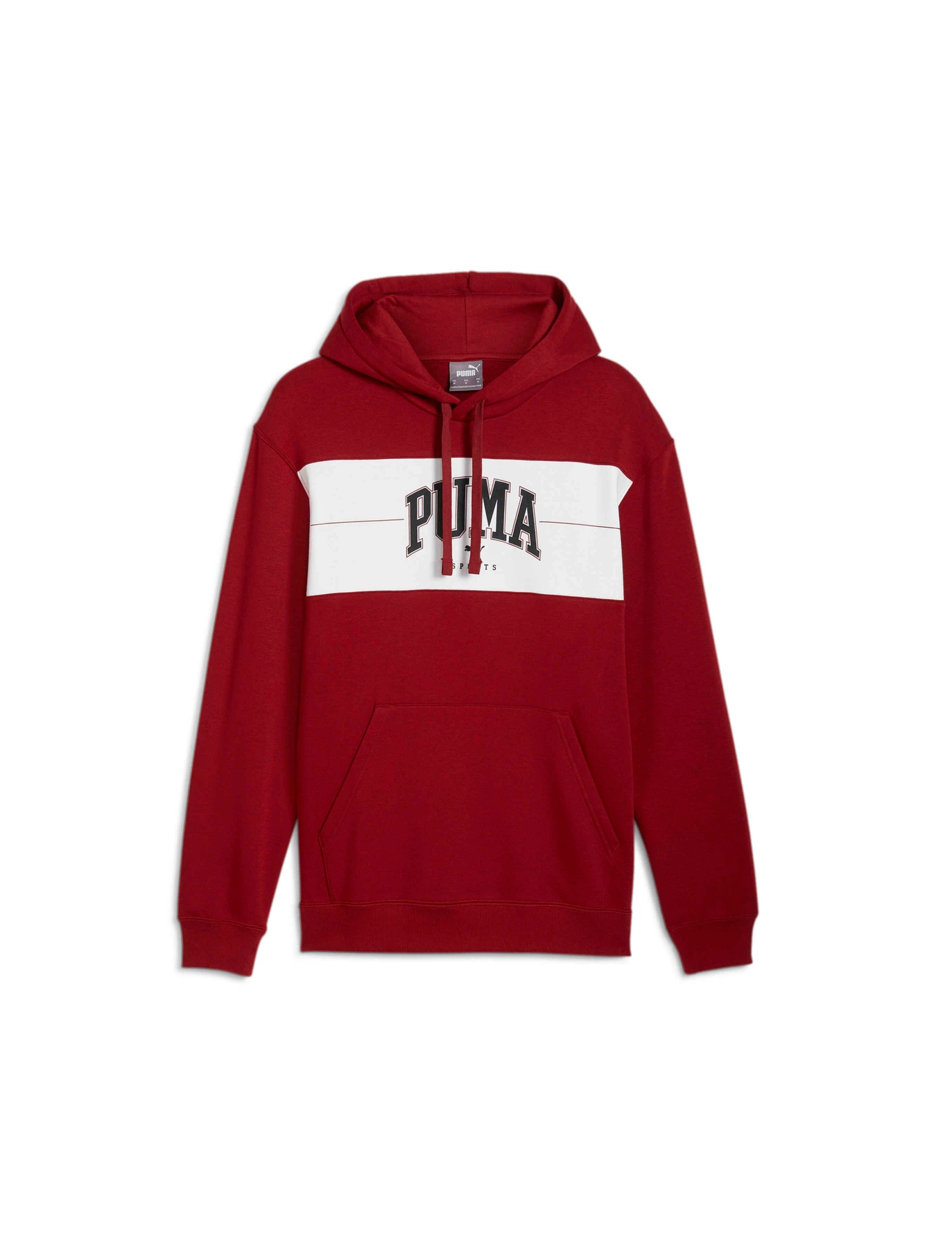 Худі та світшоти PUMA Squad Hoodie модель 681796 Фото
