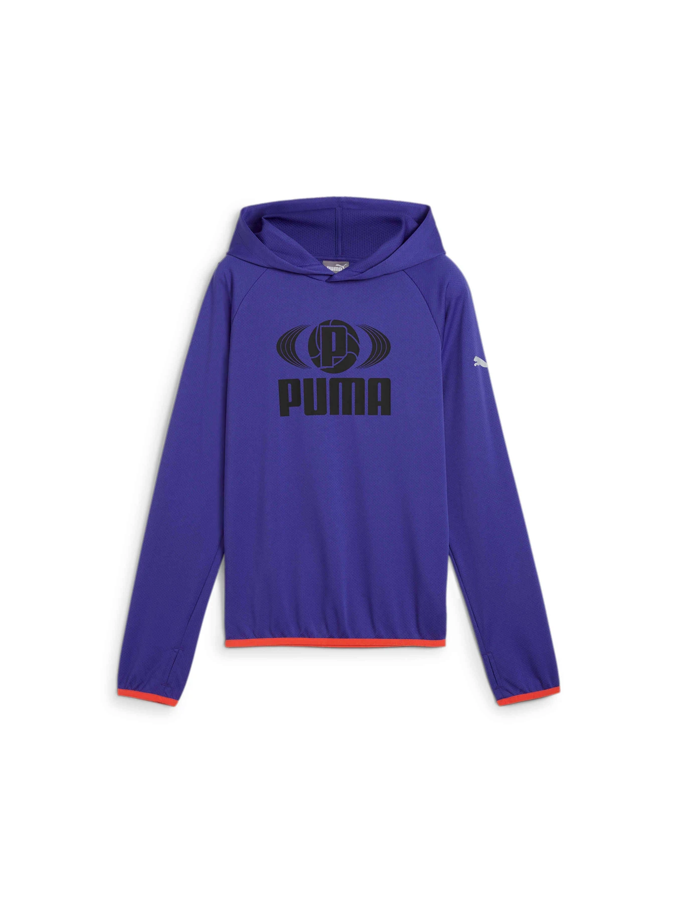 Худи и свитшоты PUMA Active Sports Poly Lw Hoodie модель 681815 Фото