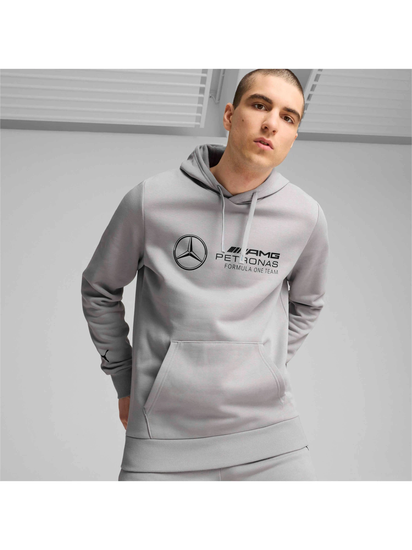 Худи и свитшоты PUMA Mapf1 Ess Hoodie модель 627345 Фото