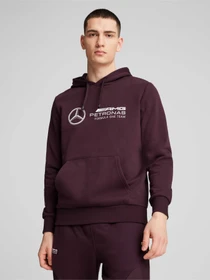 Худи и свитшоты PUMA Mapf1 Ess Hoodie модель 627345 Фото