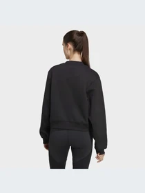 Худи и свитшоты Adidas модель HR9172 Фото