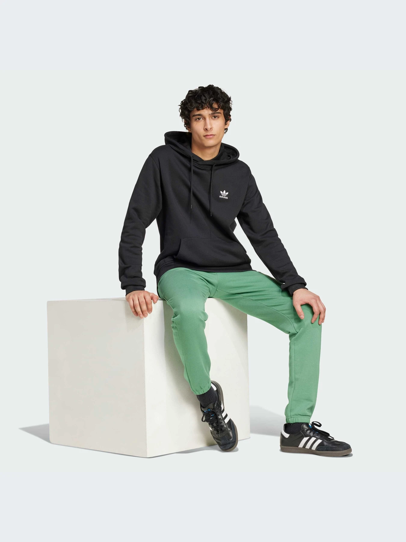 Худі та світшоти Adidas Trefoil модель IW5789 Фото