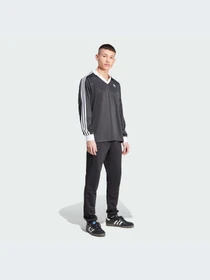 Худи и свитшоты Adidas Adicolor модель IZ4808 Фото