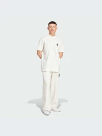 Штани Adidas Graphics модель IX6765 Фото
