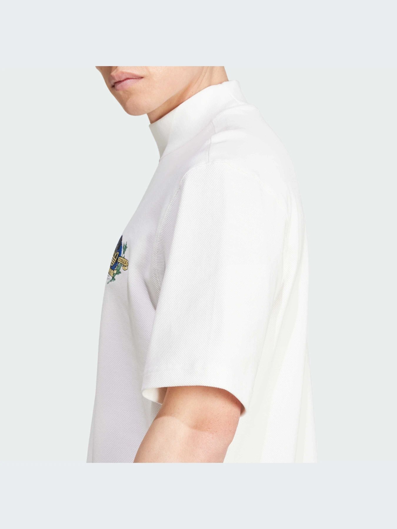 Футболки і поло Adidas Graphics модель IX6773 Футболки і поло Adidas Graphics модель IX6773 Фото