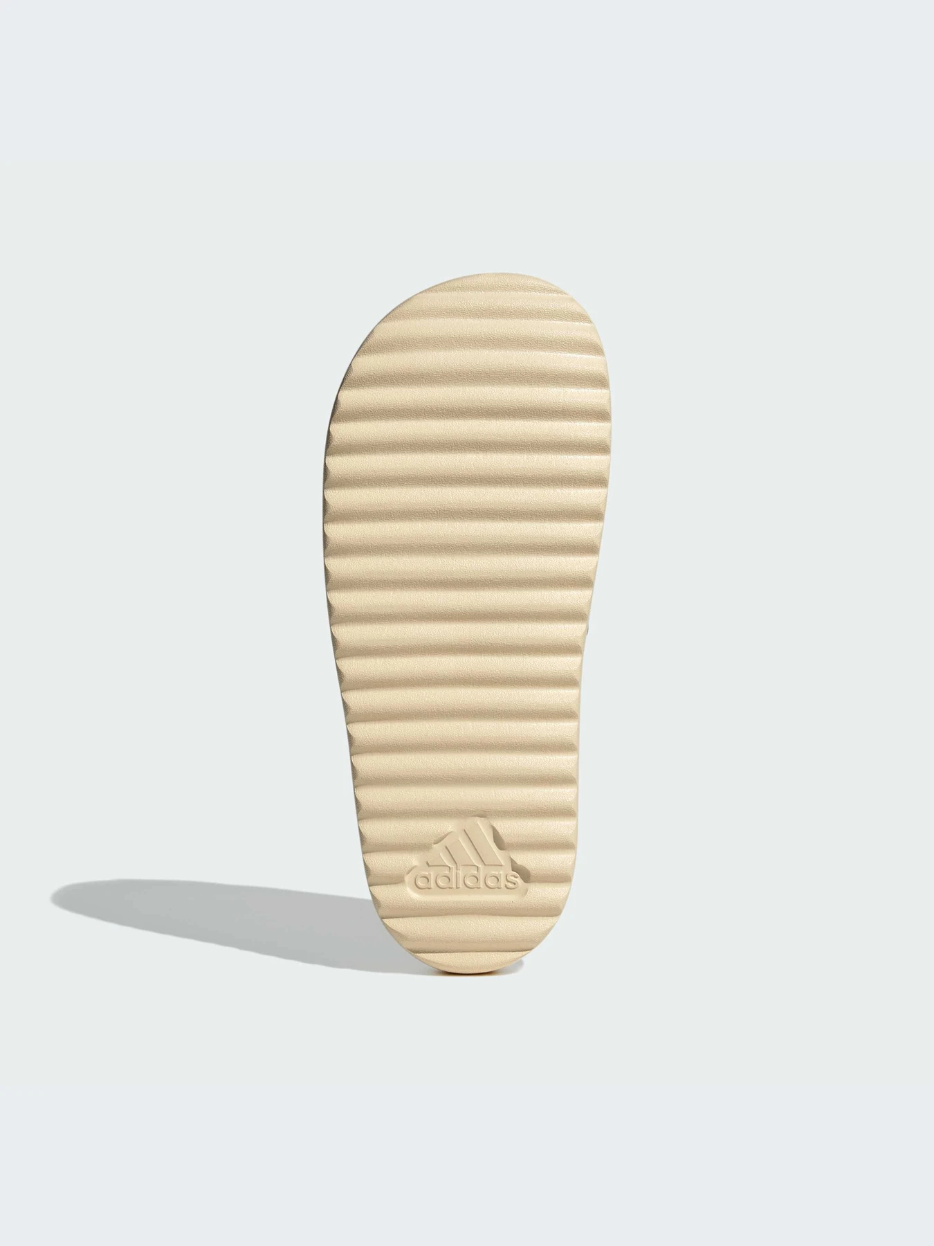 Шлёпанцы Adidas модель IH0523 Фото