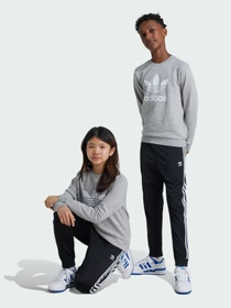 Брюки Adidas Adicolor модель IX7630 Фото