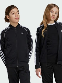 Худі та світшоти Adidas Adicolor модель IX7628 Фото