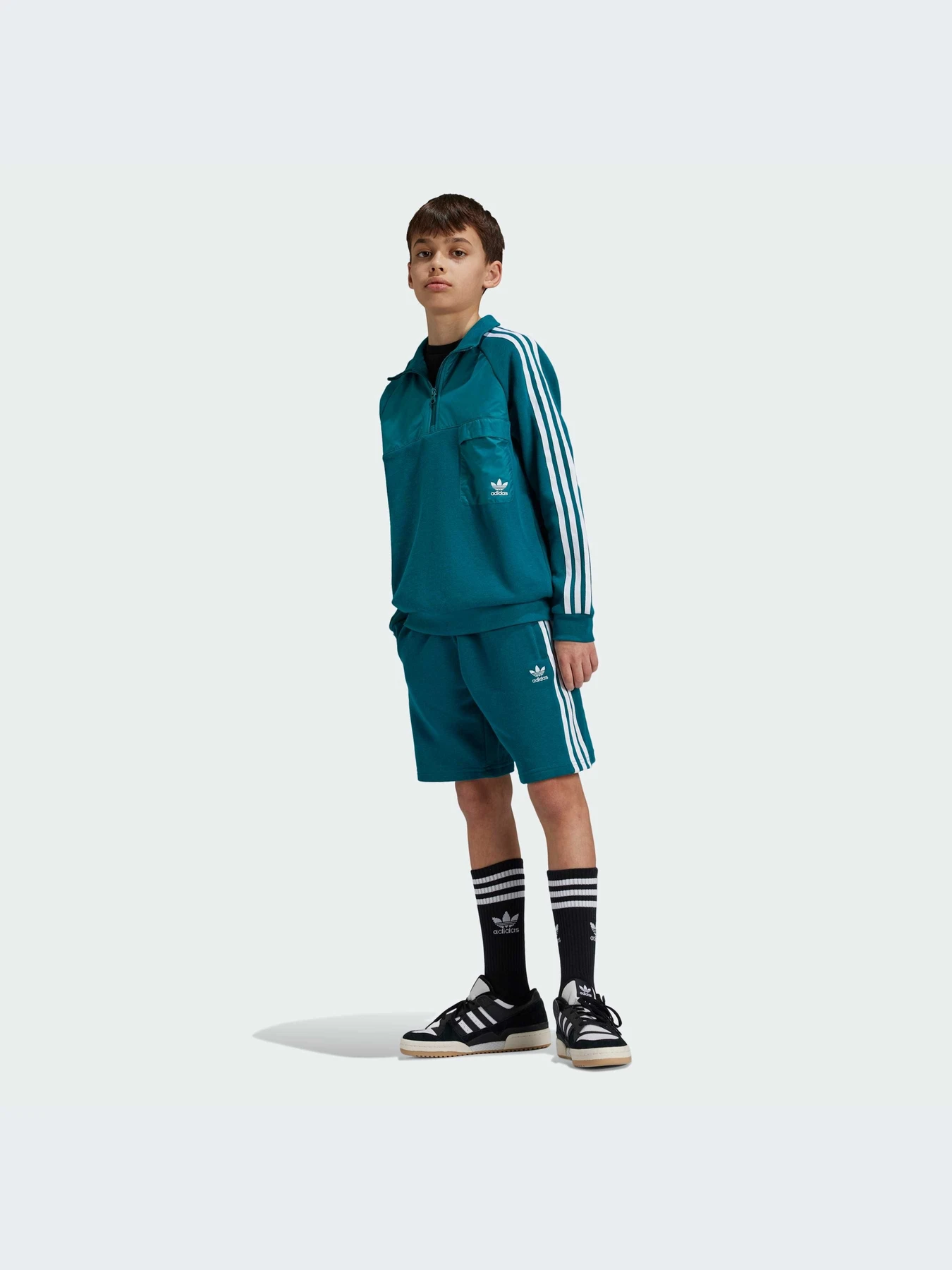 Худи и свитшоты Adidas Adicolor модель IY0012 Худи и свитшоты Adidas Adicolor модель IY0012 Фото
