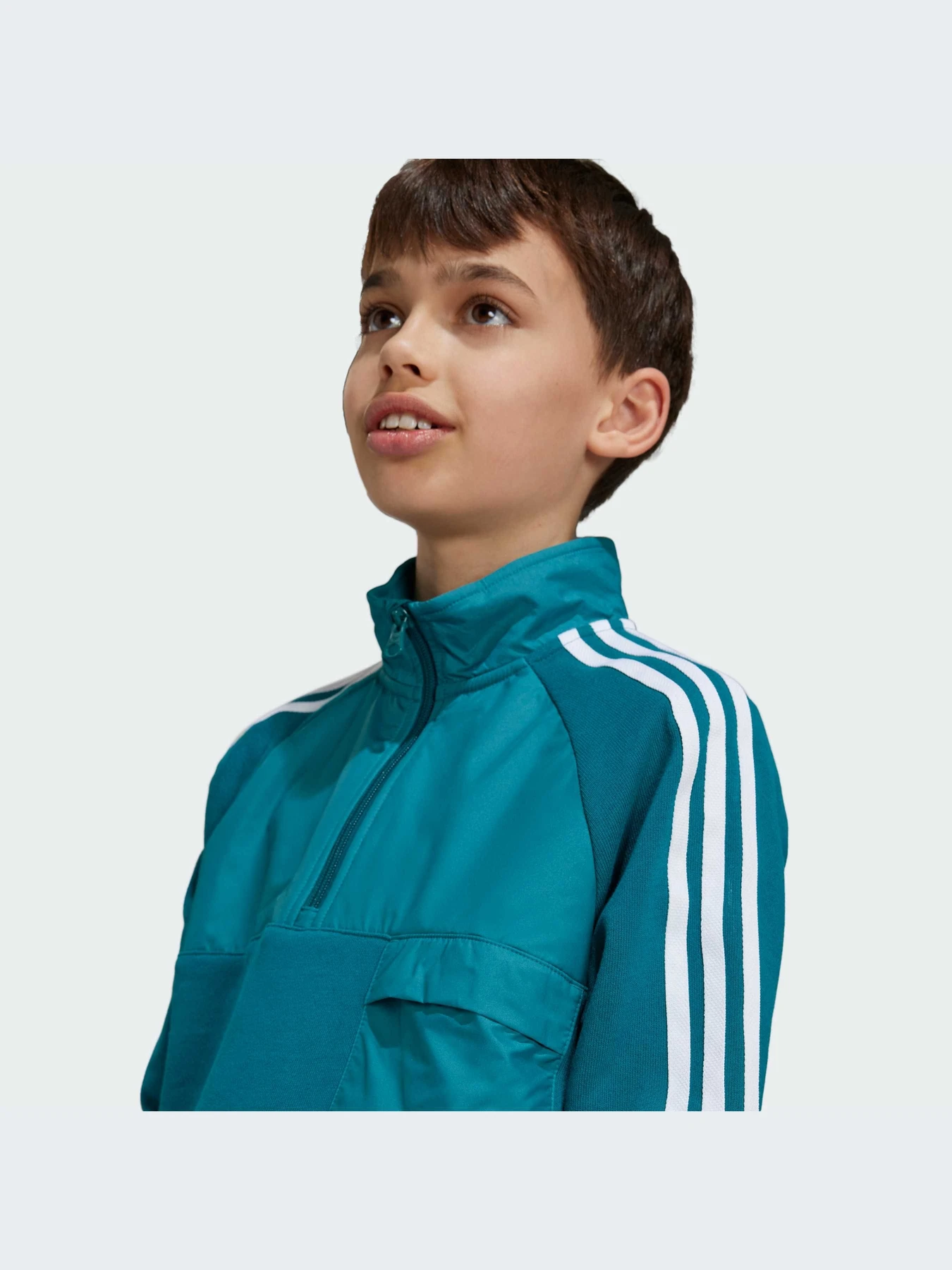 Худи и свитшоты Adidas Adicolor модель IY0012 Худи и свитшоты Adidas Adicolor модель IY0012 Фото