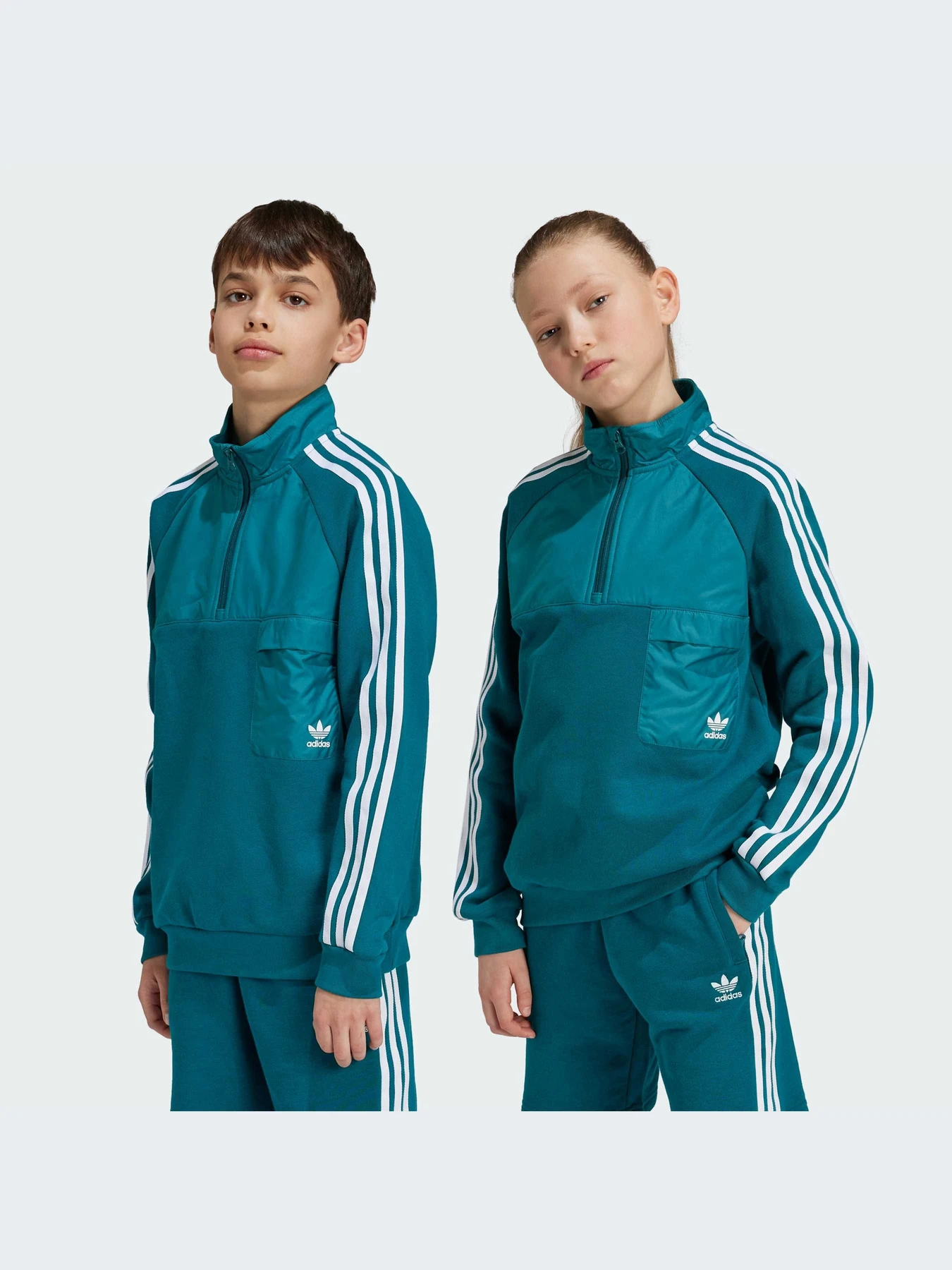 Худи и свитшоты Adidas Adicolor модель IY0012 Худи и свитшоты Adidas Adicolor модель IY0012 Фото