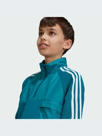 Худи и свитшоты Adidas Adicolor модель IY0012 Фото