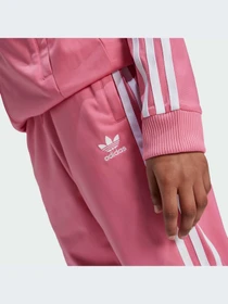 Брюки Adidas Adicolor модель IY7462 Фото