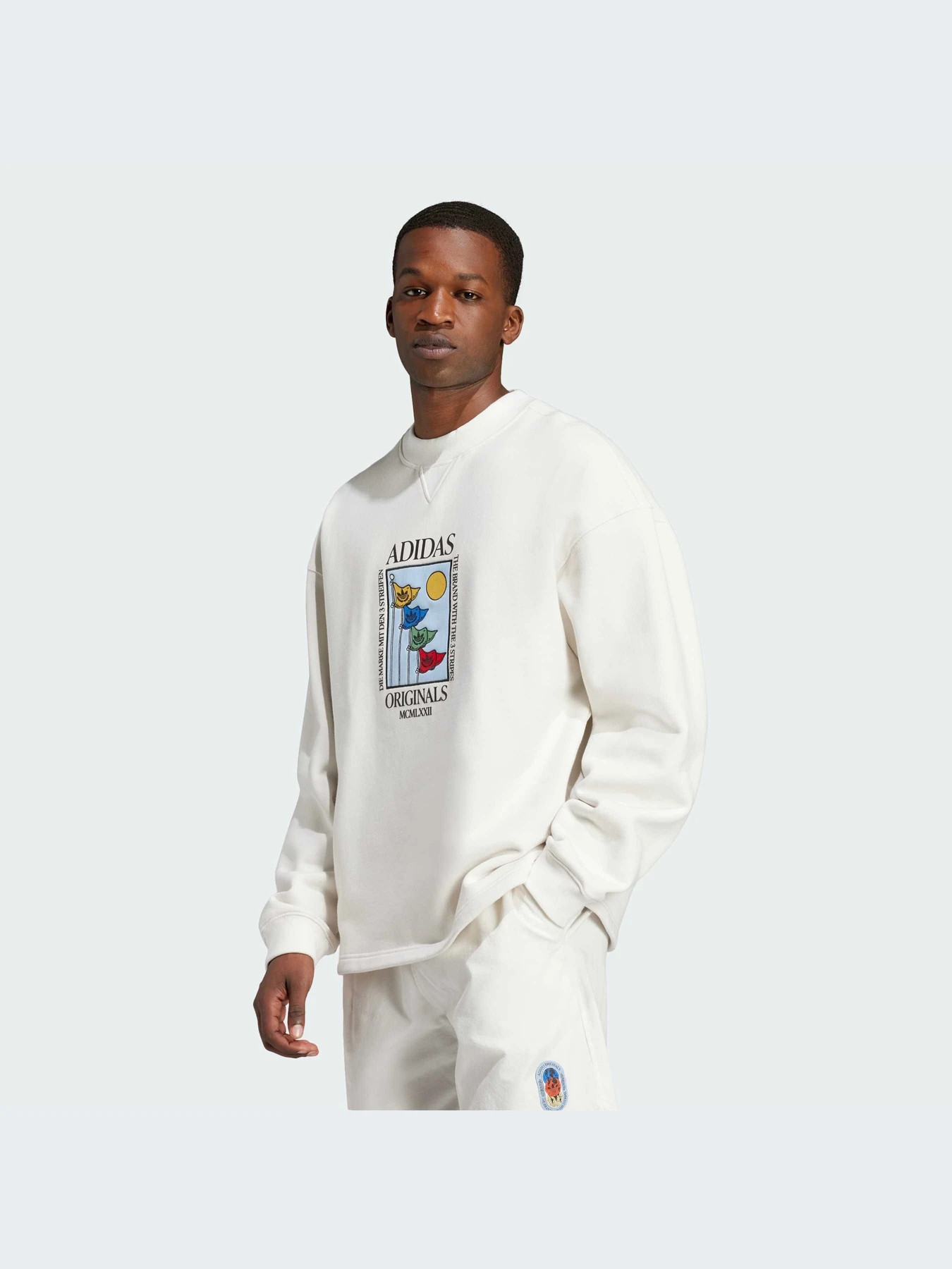 Худі та світшоти Adidas Graphics модель IX6745 Худі та світшоти Adidas Graphics модель IX6745 Фото