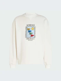 Худі та світшоти Adidas Graphics модель IX6745 Фото