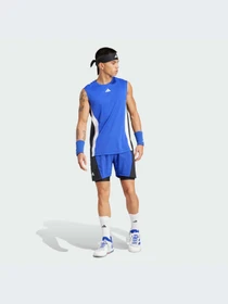 Футболки і поло Adidas модель IW6422 Фото