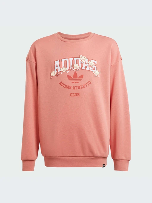 Худі та світшоти Adidas модель IN4329 Фото