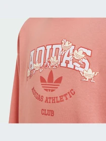 Худі та світшоти Adidas модель IN4329 Фото