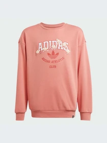 Худі та світшоти Adidas модель IN4329 Фото