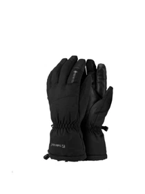 Перчатки и варежки Trekmates Chamonix Gtx модель 100061883 Фото