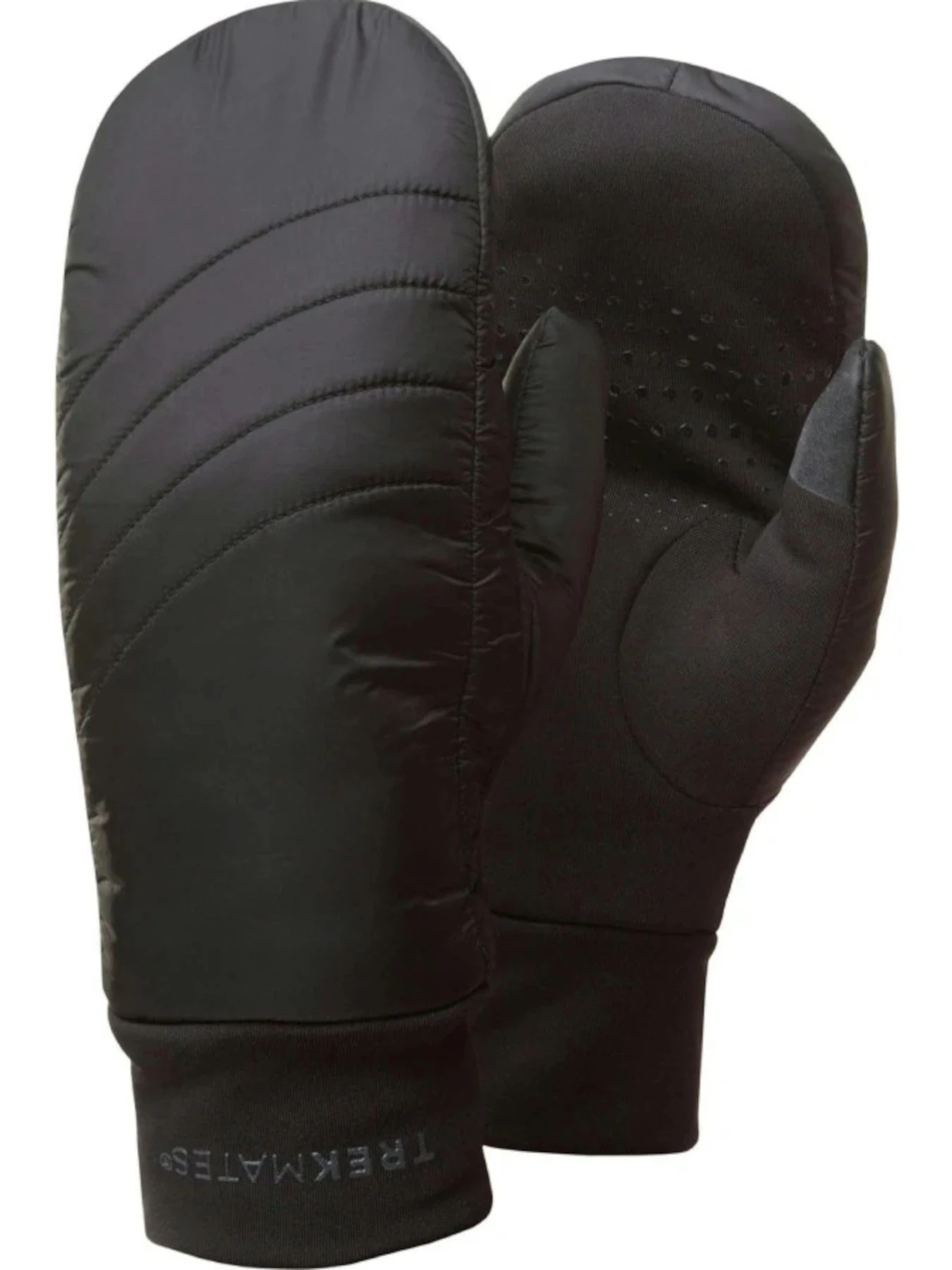 Перчатки и варежки Trekmates Codale Dry Mitten модель 100029948 Фото