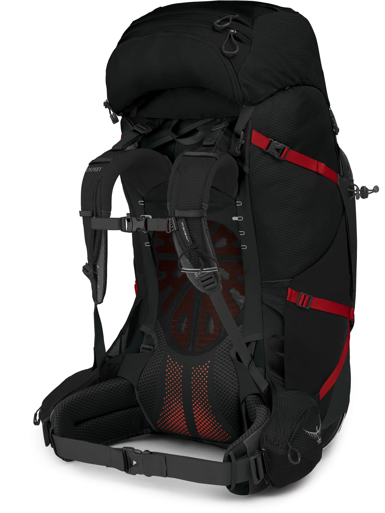 Рюкзаки Osprey Aether Plus 100 модель 100070216 Фото
