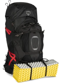 Рюкзаки Osprey Aether Plus 100 модель 100070216 Фото